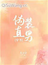 伪装直男[穿书]小说