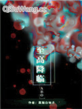 至高降临小说