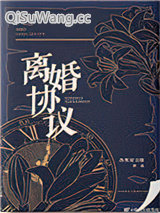 离婚协议小说