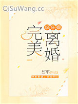 完美离婚[娱乐圈]小说