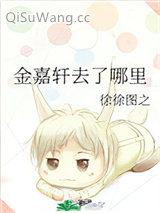 金嘉轩去了哪里小说