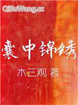 囊中锦绣小说