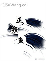 正经鱼在线破案小说