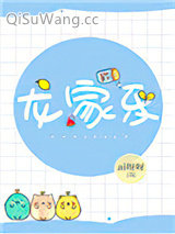 龙家乐小说