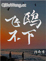 飞鸥不下小说