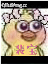 裴宝小说