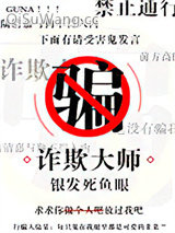 诈欺大师小说