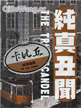 纯真丑闻小说