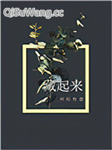 藏起来小说