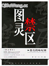 图灵禁区小说