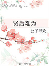 贤后难为小说