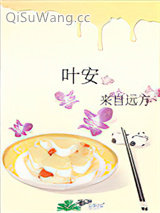 叶安小说