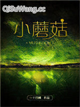 小蘑菇小说