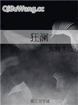 狂澜小说