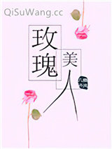 玫瑰美人小说