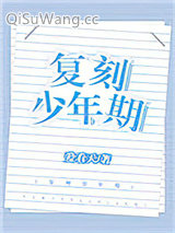 复刻少年期[重生]小说