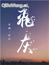 飞灰小说