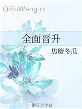 全面晋升小说