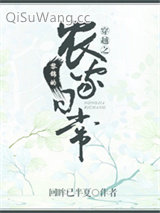 穿越之黎锦的农家日常小说