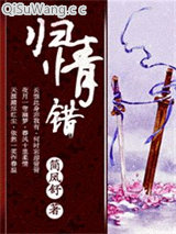 归情错小说
