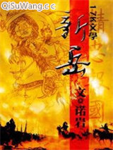 新岳小说