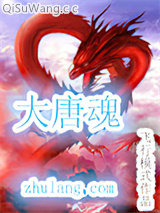 大唐魂小说