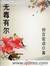 无毒有尔小说