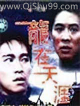 龙在天涯小说