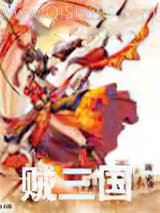 贼三国小说