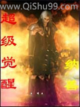 超级觉醒小说