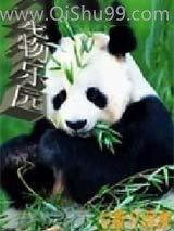 宠物乐园小说