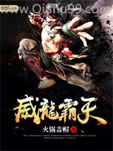 威龙中华小说