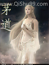 茅道小说