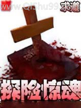 探险惊魂小说