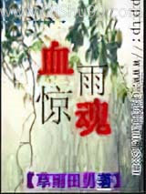 血雨惊魂小说