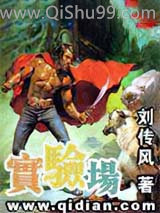 实验场小说