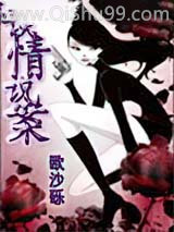 谈情说案小说