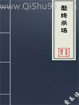 最终杀场小说