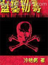 盗墓初哥小说