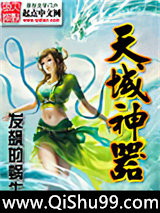 天域神器小说