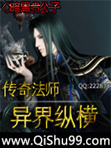 传奇法师异界纵横小说