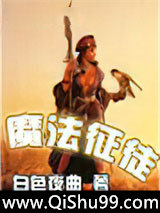 魔法征徒小说