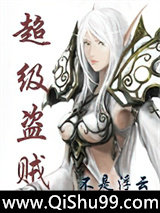 超级盗贼小说