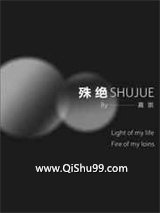殊绝小说
