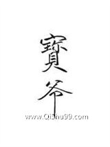 宝爷小说