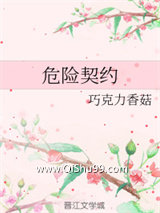 危险契约小说
