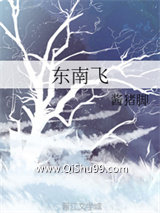 东南飞小说