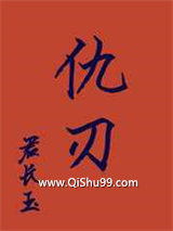 仇刃小说