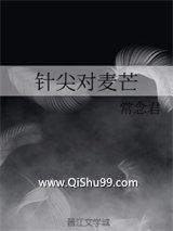 针尖对麦芒小说