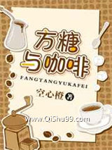 方糖与咖啡小说